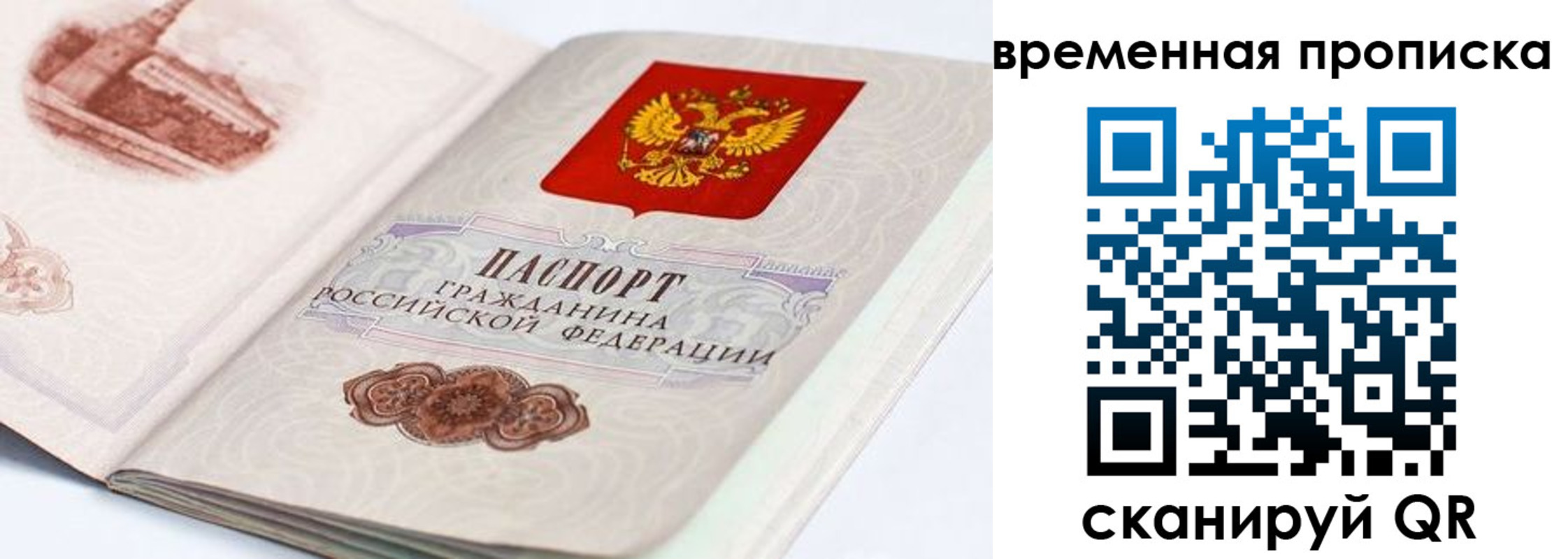 прописка 2025 в Лыткарино